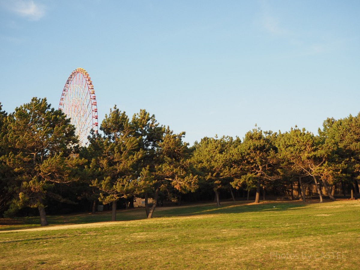 自然豊かな葛西臨海公園