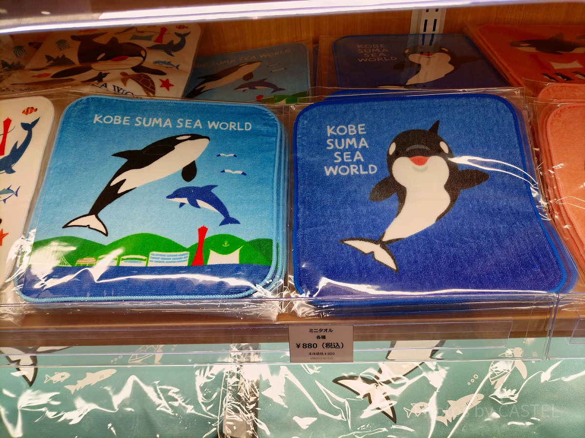 須磨シーワールド　ミニタオル　シャチ　1周年 神戸須磨シーワールドのお土産・グッズ：シャチのミニタオル