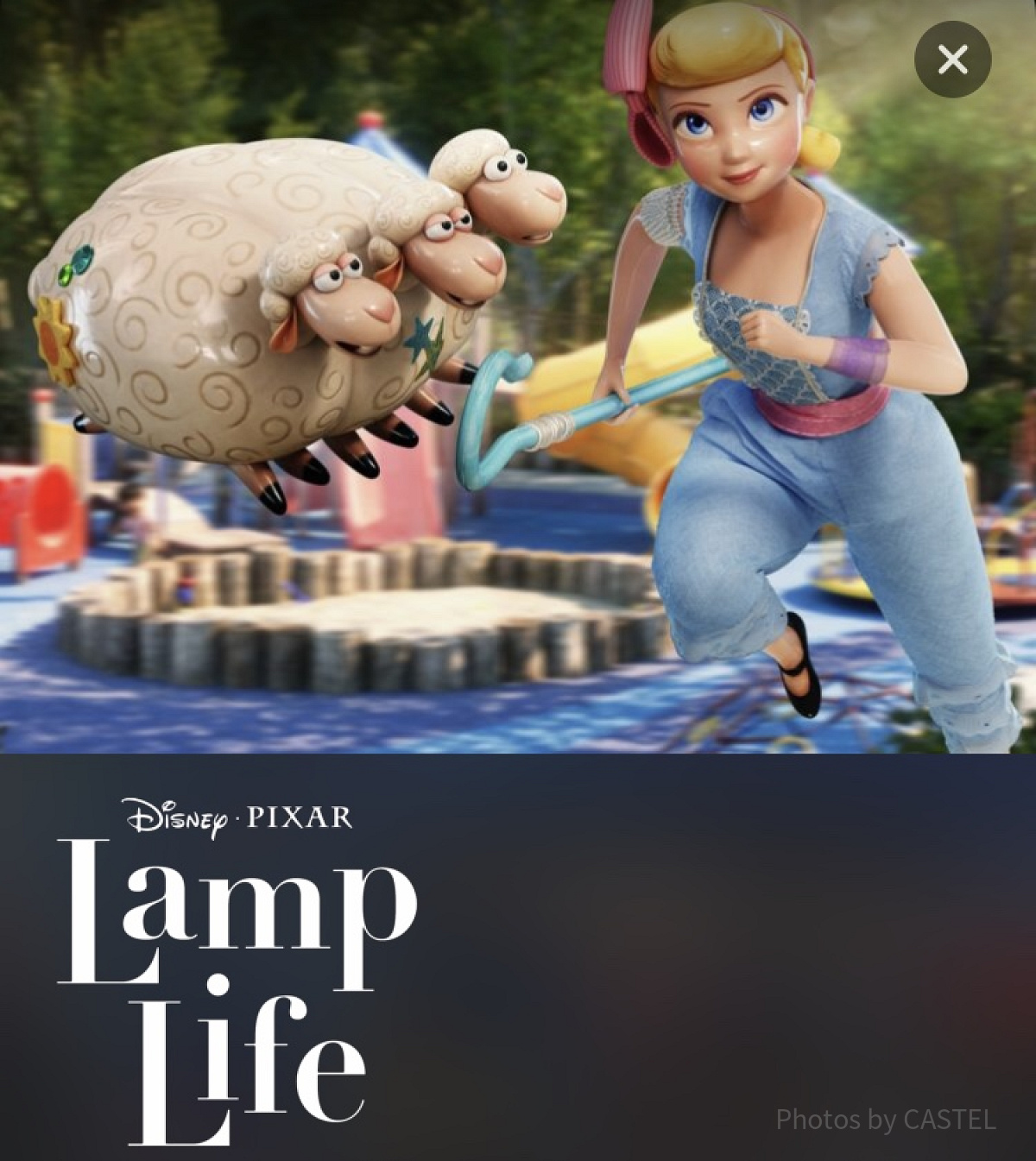Lamp Life（ランプ・ライフ）