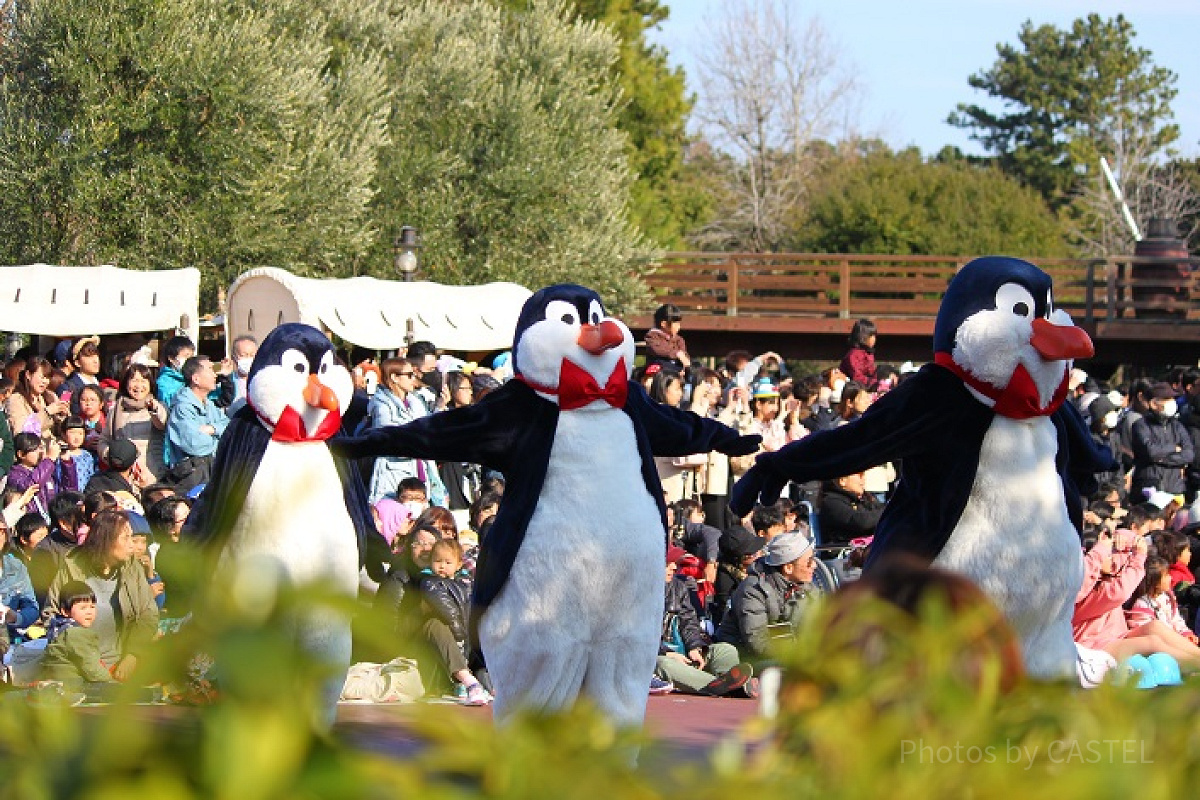 ディズニーシーへは履きなれたクツで行こう