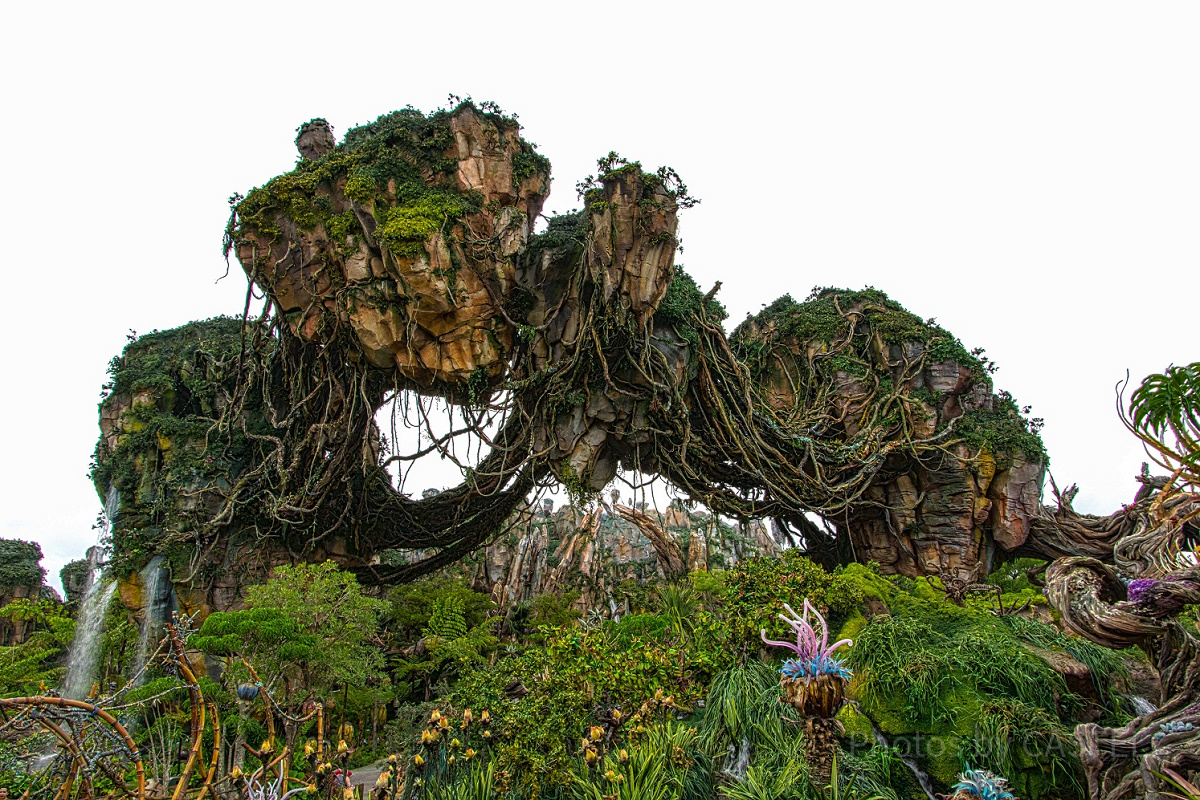 アニマルキングダムで会えるミッキー＆ミニー| キャステル | CASTEL