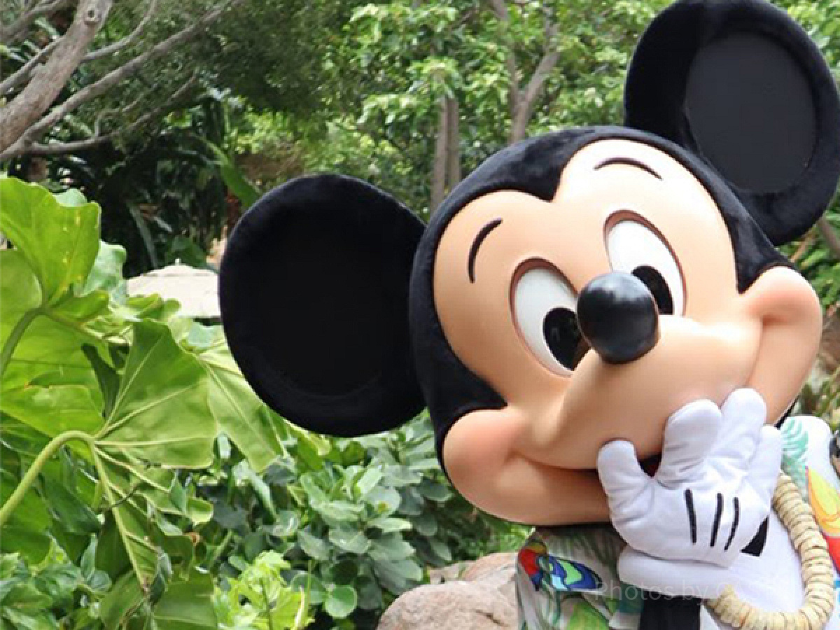 ディズニー！！ミッキーマウス！！🐭