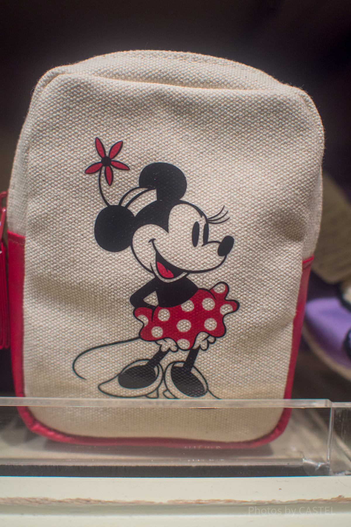 ミニーミニポーチ（キャンパス地）