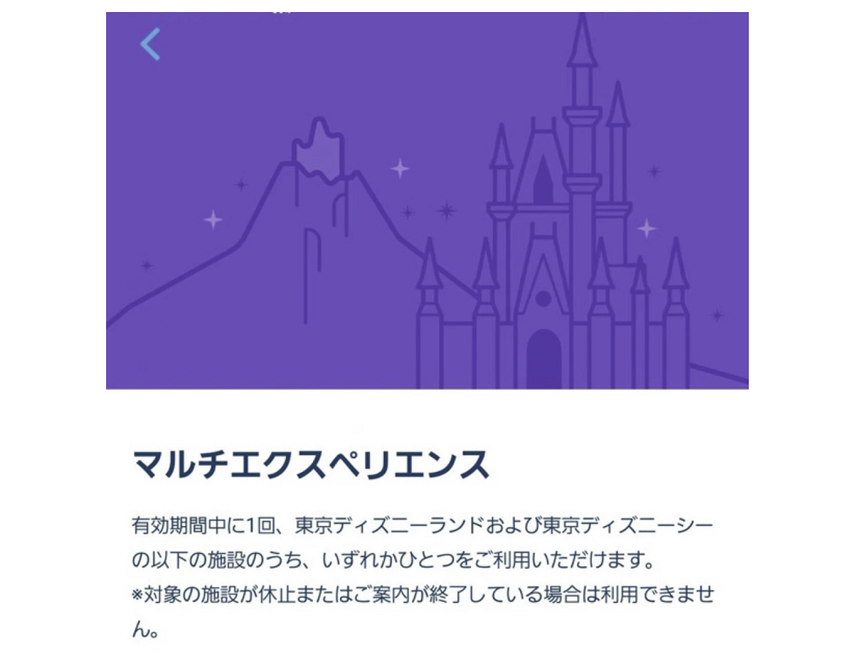 マルチエクスペリエンス| キャステル | CASTEL ディズニー情報