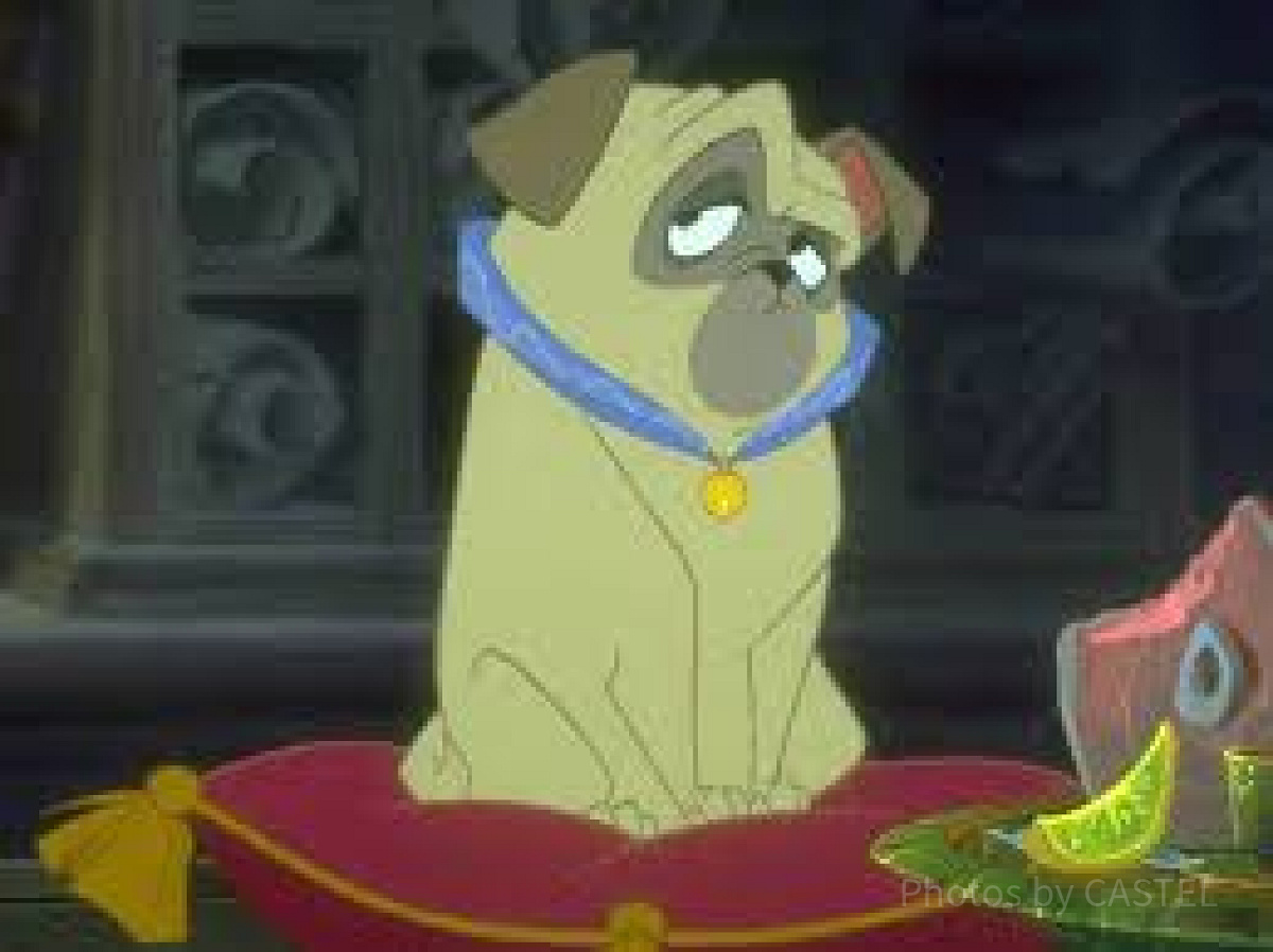 パーシー（ポカホンタス）