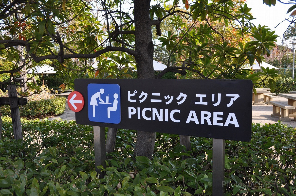 ピクニックエリアの看板