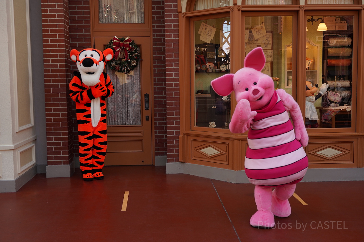 ディズニーイヨーとピグレットわ仲良し 2024🎄ピグレット＆イーヨー プーフレも列が長くてなかなか会えない