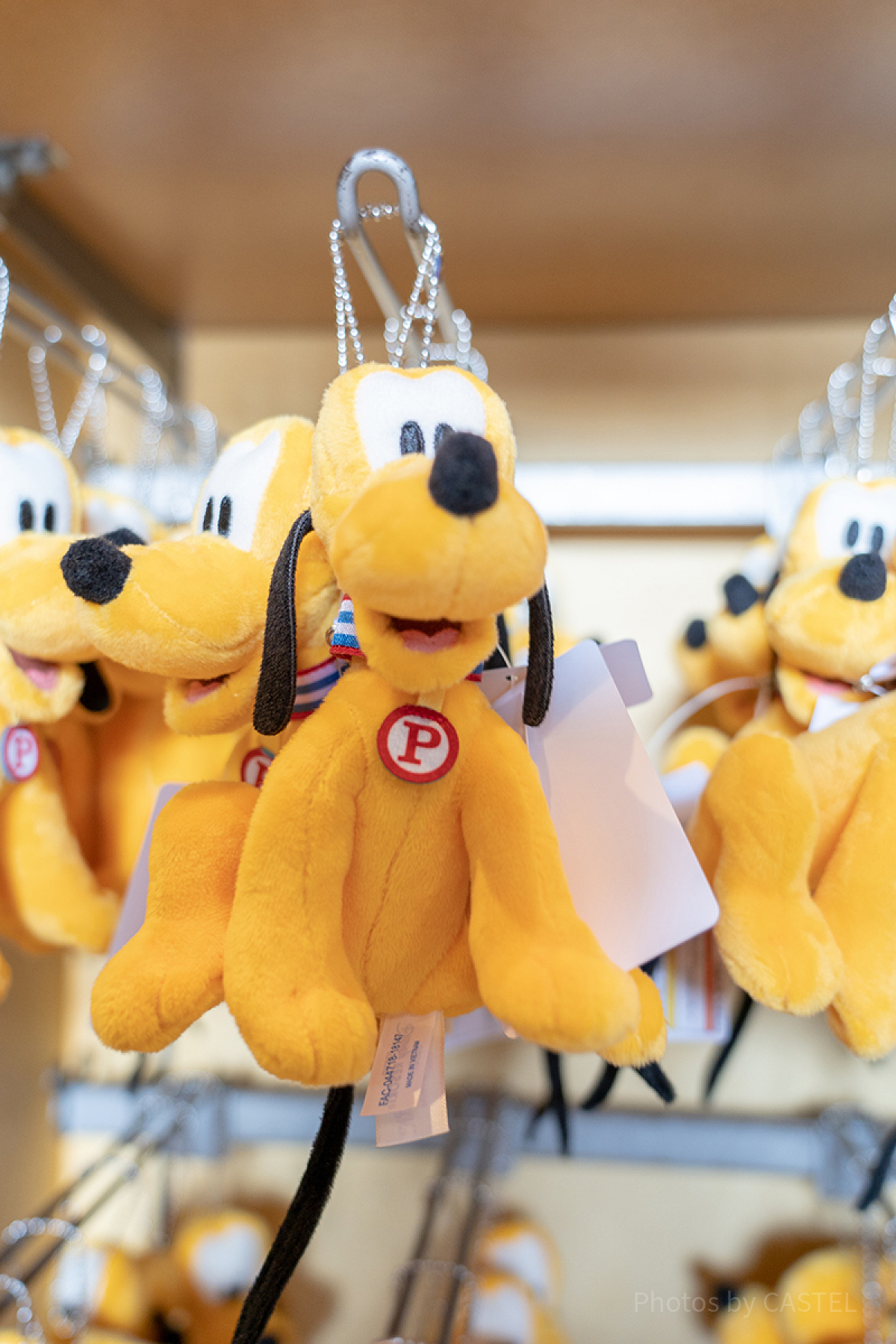 プルート　ミニファン　ぬいぐるみバッジ ディズニー パルパルーザ ミニーのファンダーランド プルート