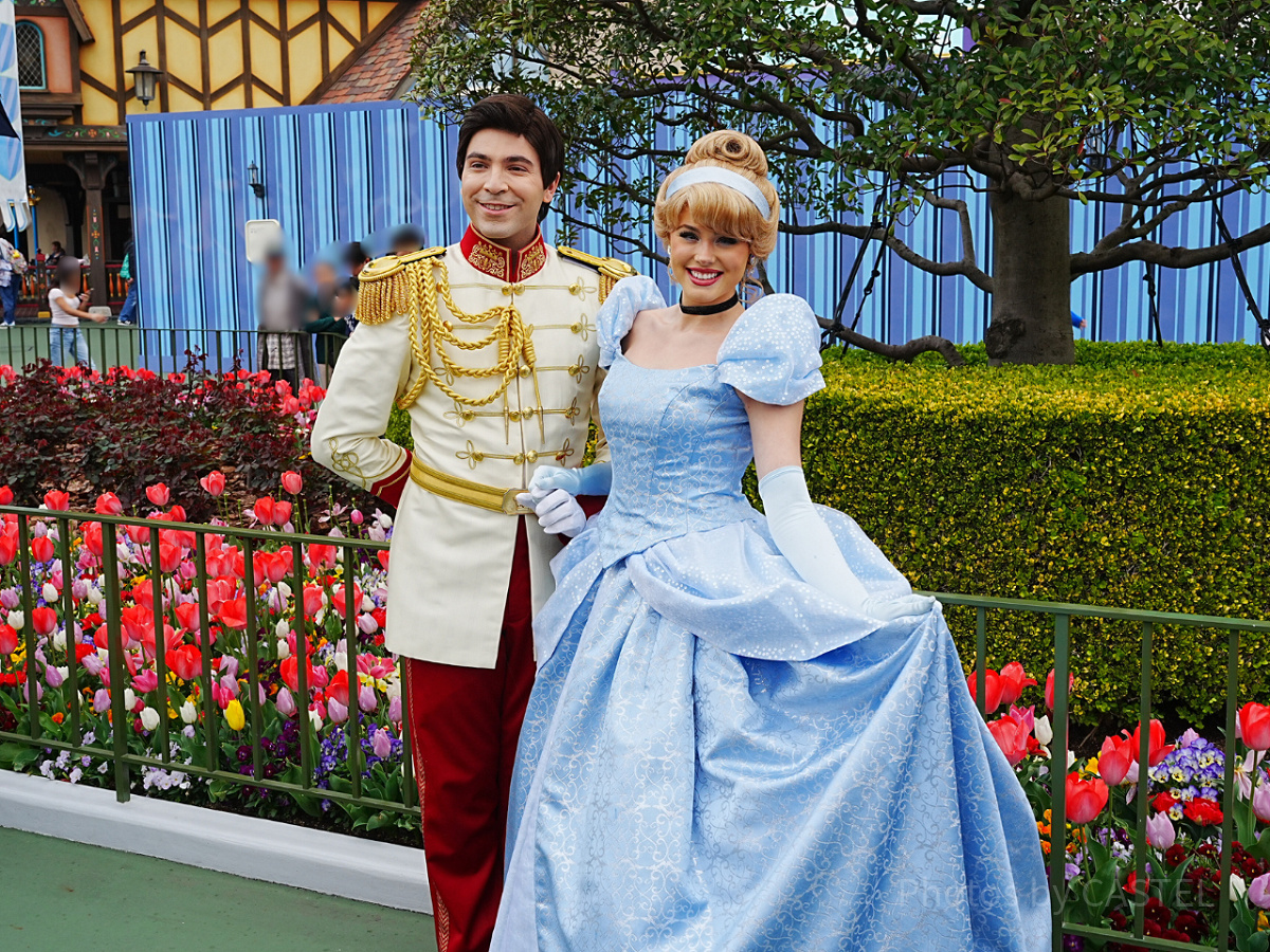 プリンス・チャーミングとシンデレラがいっしょに登場することも