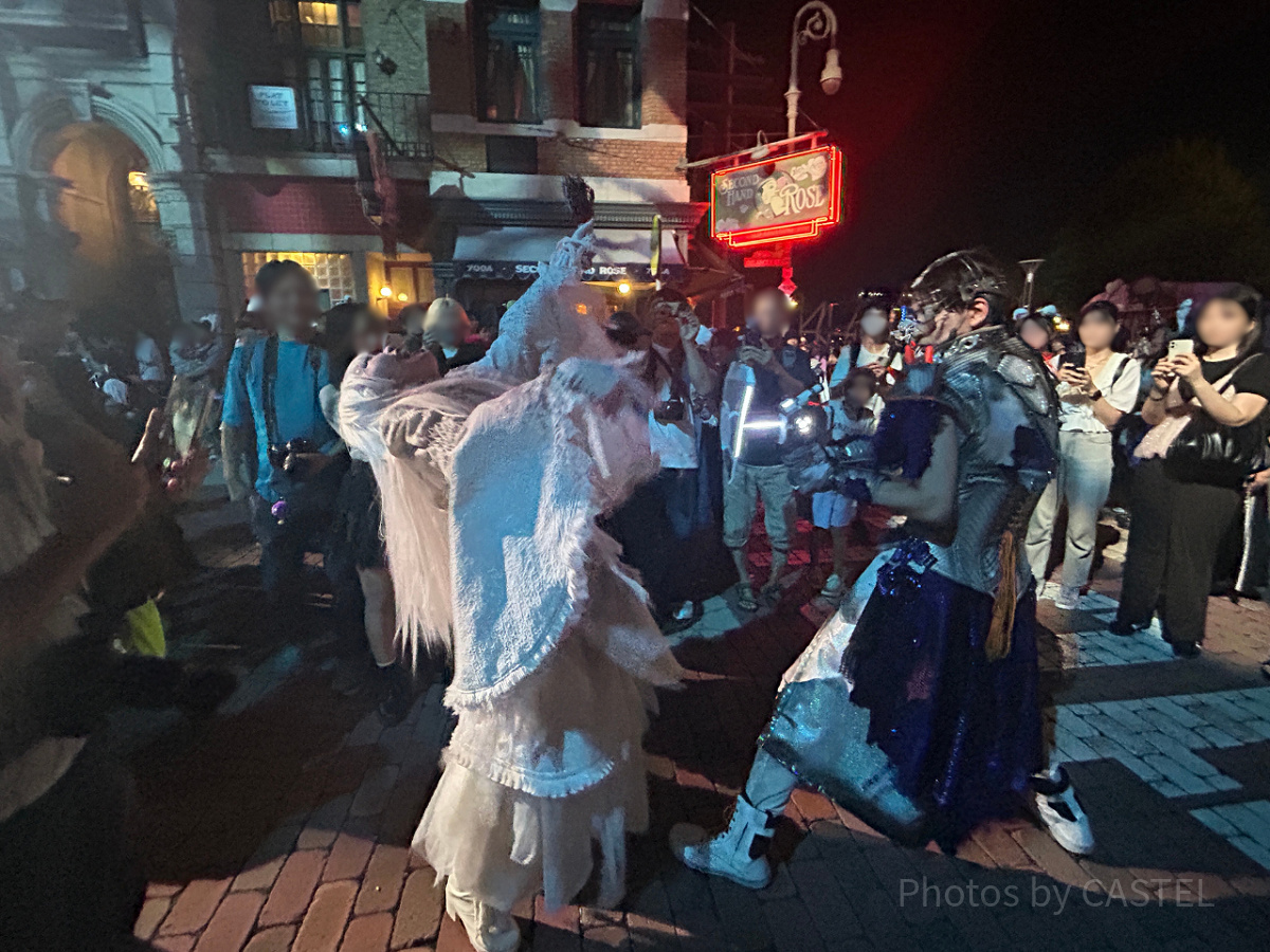 治安部隊“レグルス・プライド”