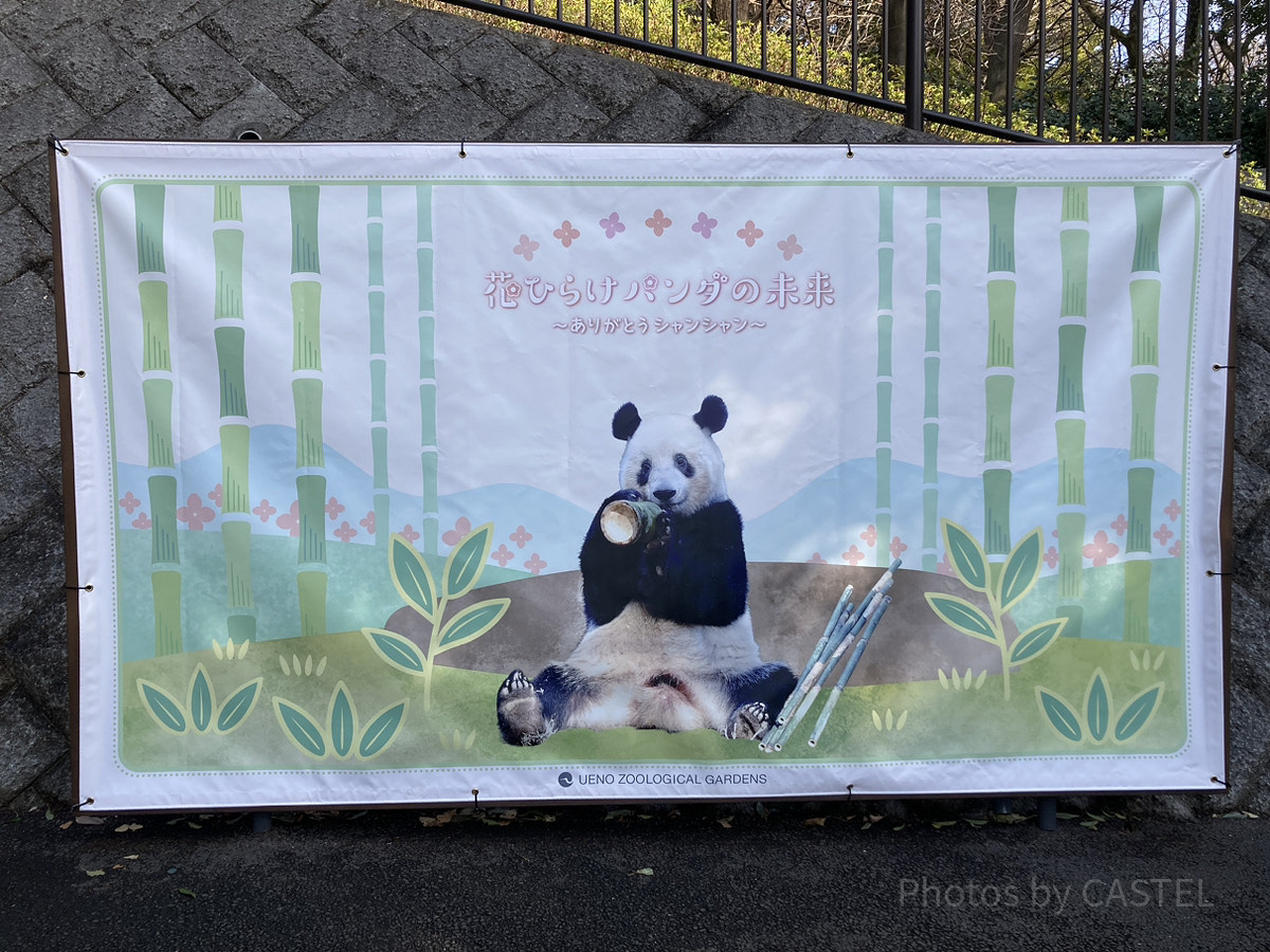 シャンシャンのフォトスポット／上野動物園