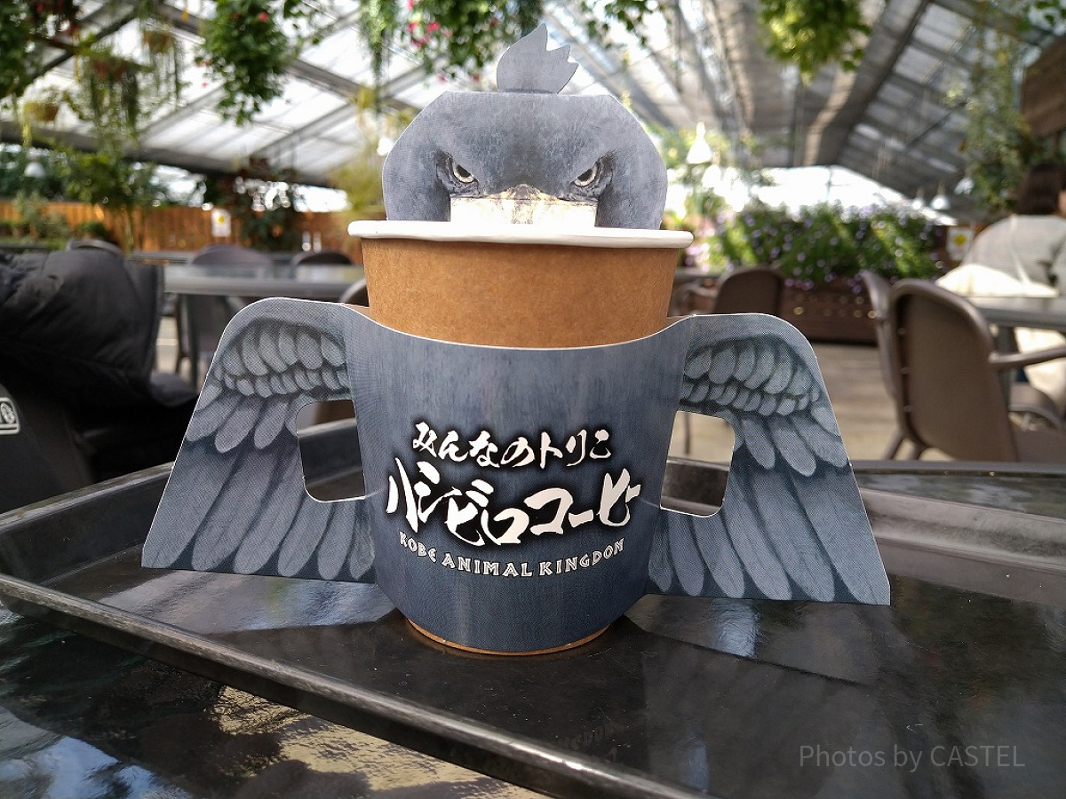 ハシビロコーヒー／神戸どうぶつ王国