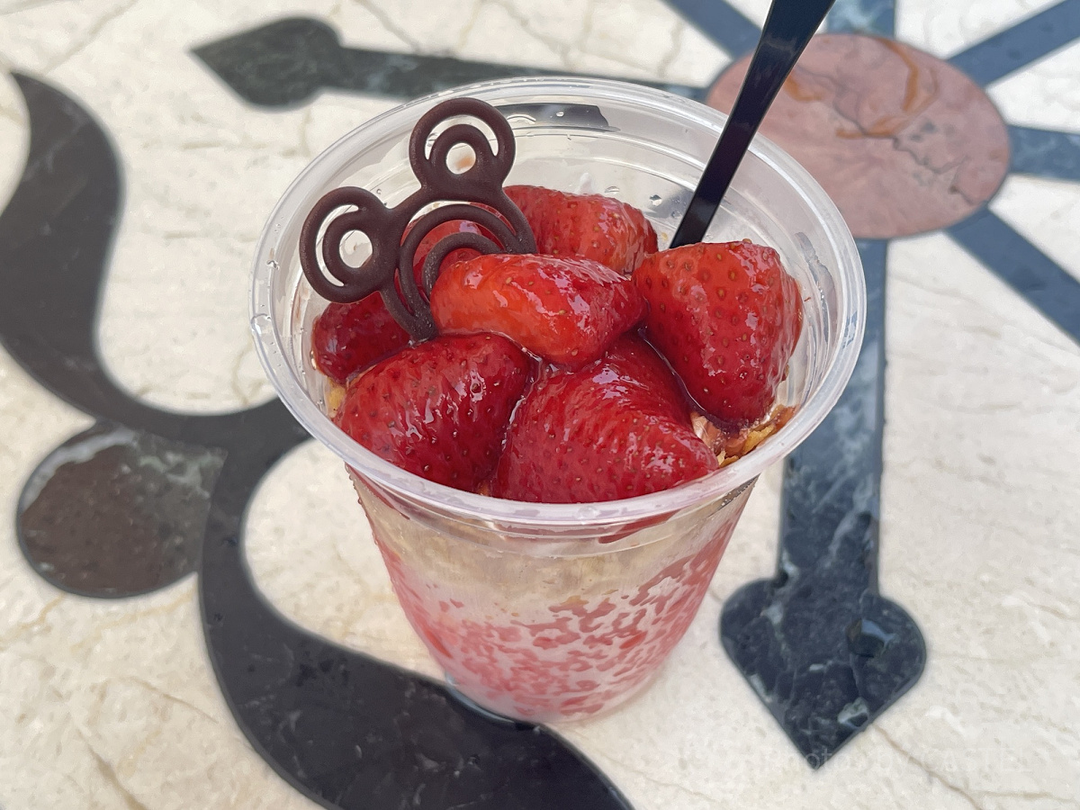 ストロベリー＆バルサミコのグラニータ| キャステル | CASTEL