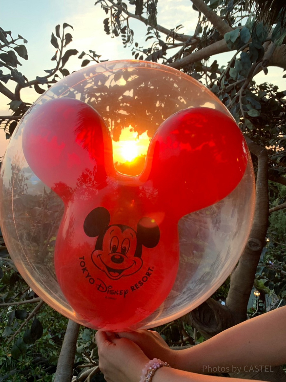 ディズニートラディションミッキー風船 夕日とミッキー風船| キャステル | CASTEL ディズニー情報