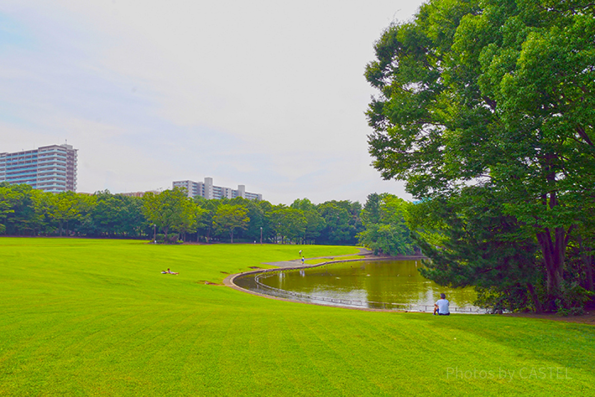 多摩中央公園