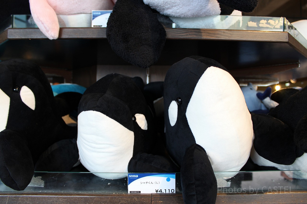 シャチのぬいぐるみ ぬいぐるみ カドルキンズ シャチ ミニ 22456 | ワイルドリ