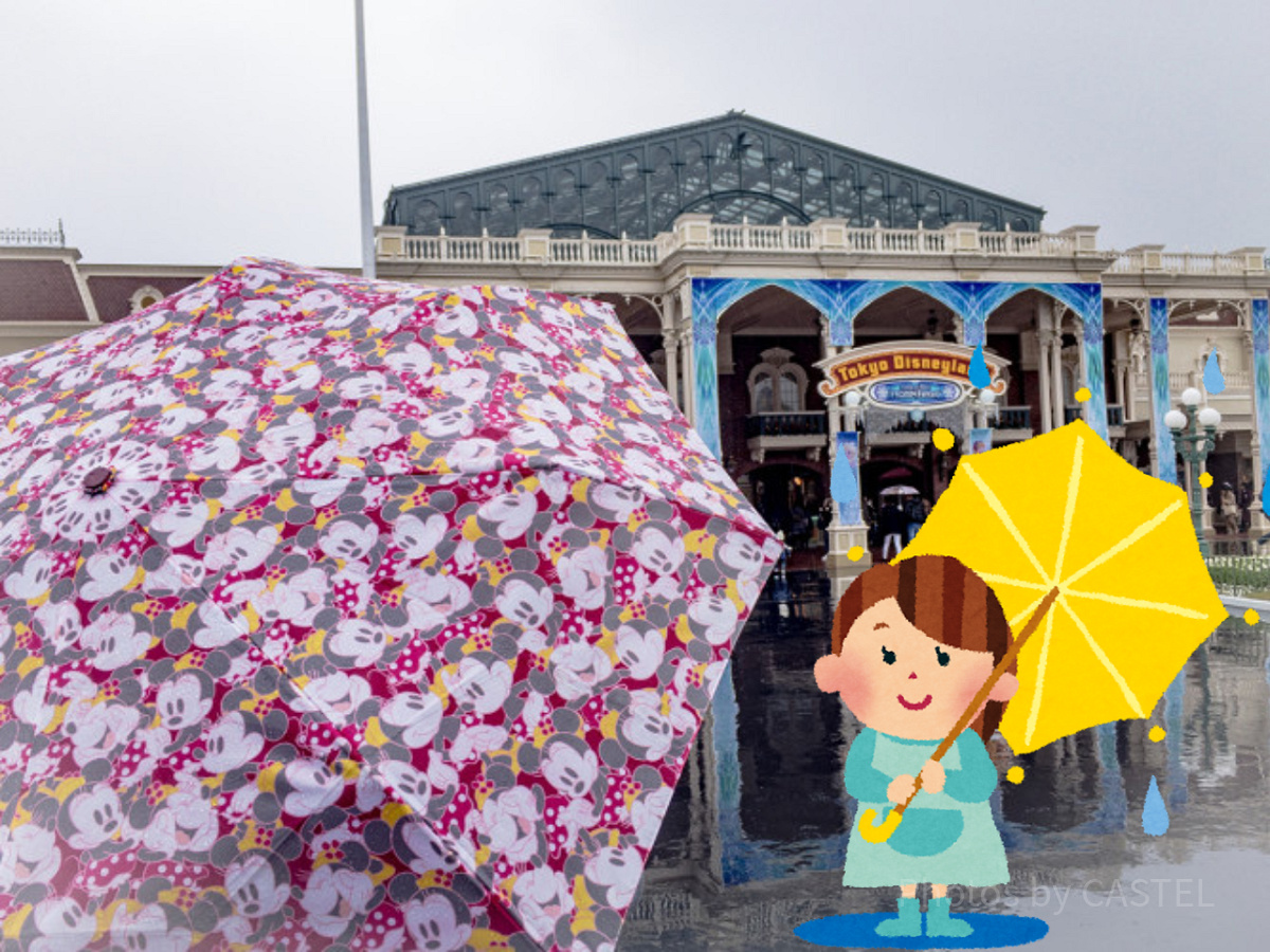 雨の日の子連れディズニーの持ち物