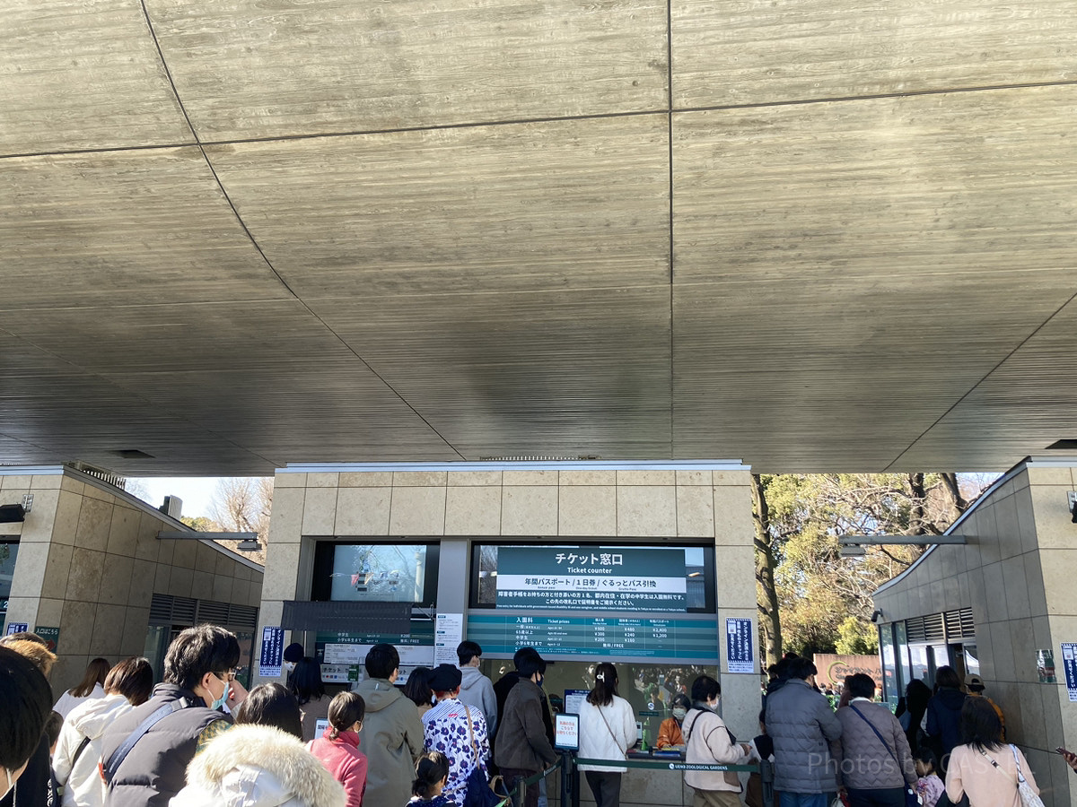 チケット売り場／上野動物園