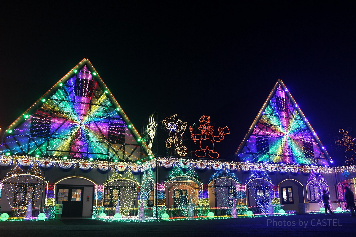 東京ドイツ村イルミネーション