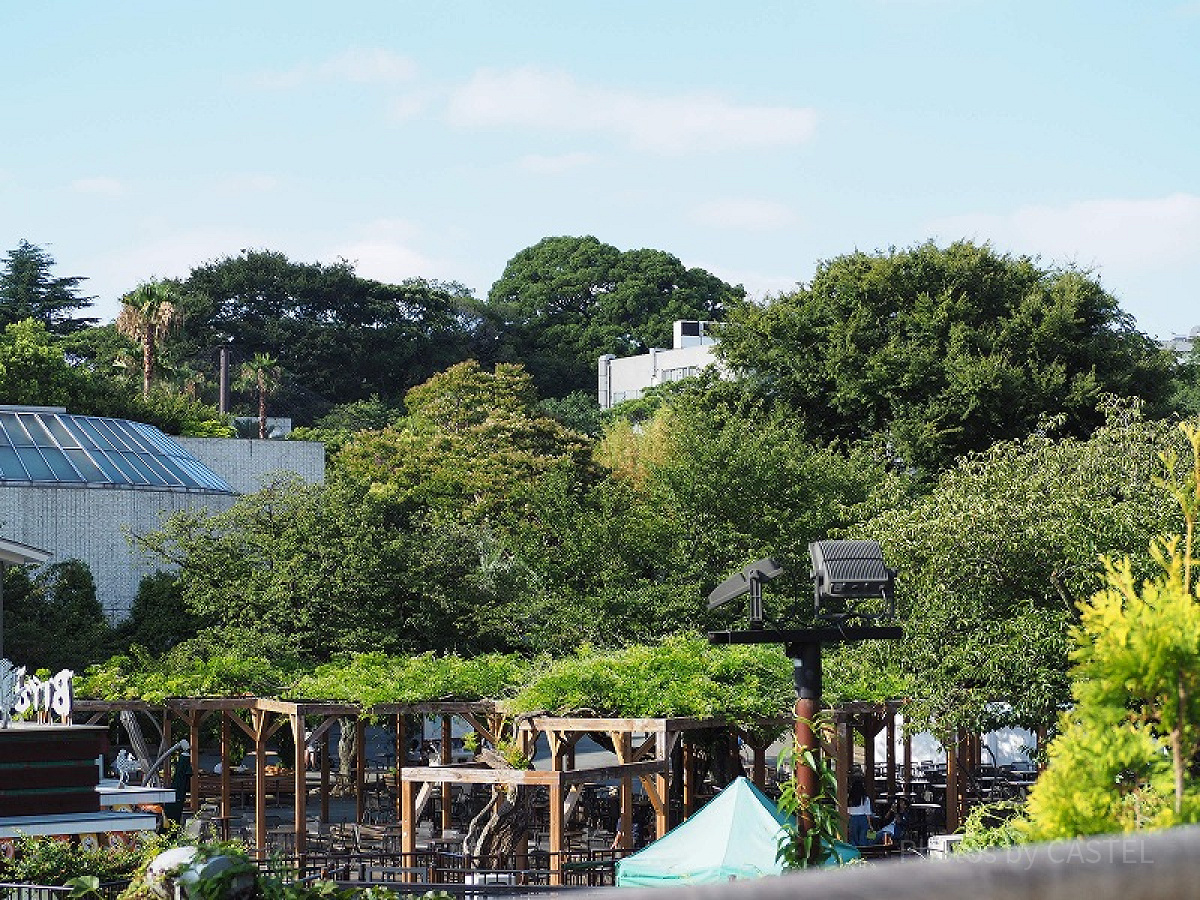 上野動物園