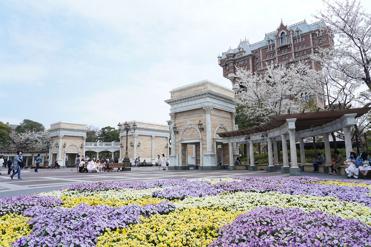 ウォーターフロントパークの桜