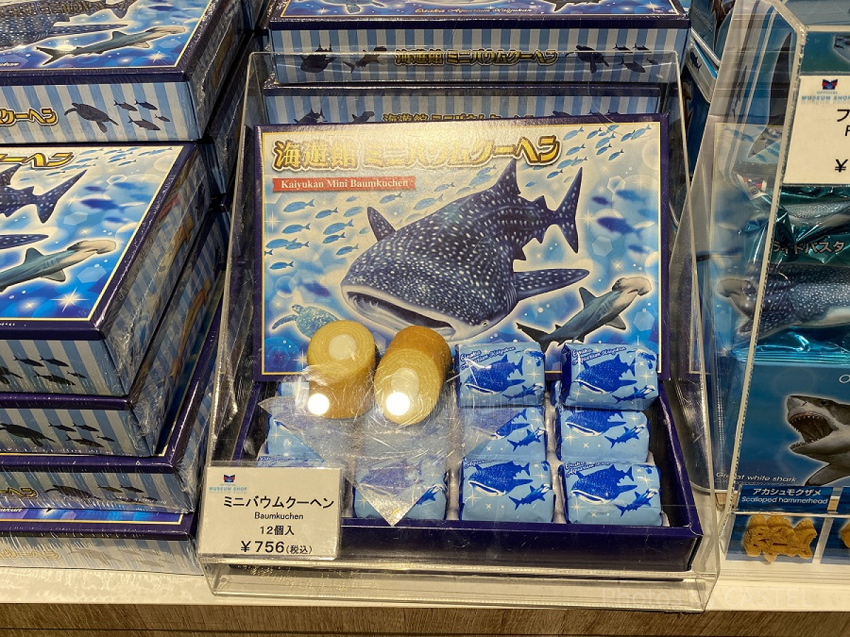 ジンベエザメのミニバウムクーヘン（海遊館）