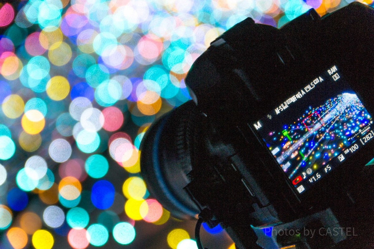 ディズニーのカメラキャストとは