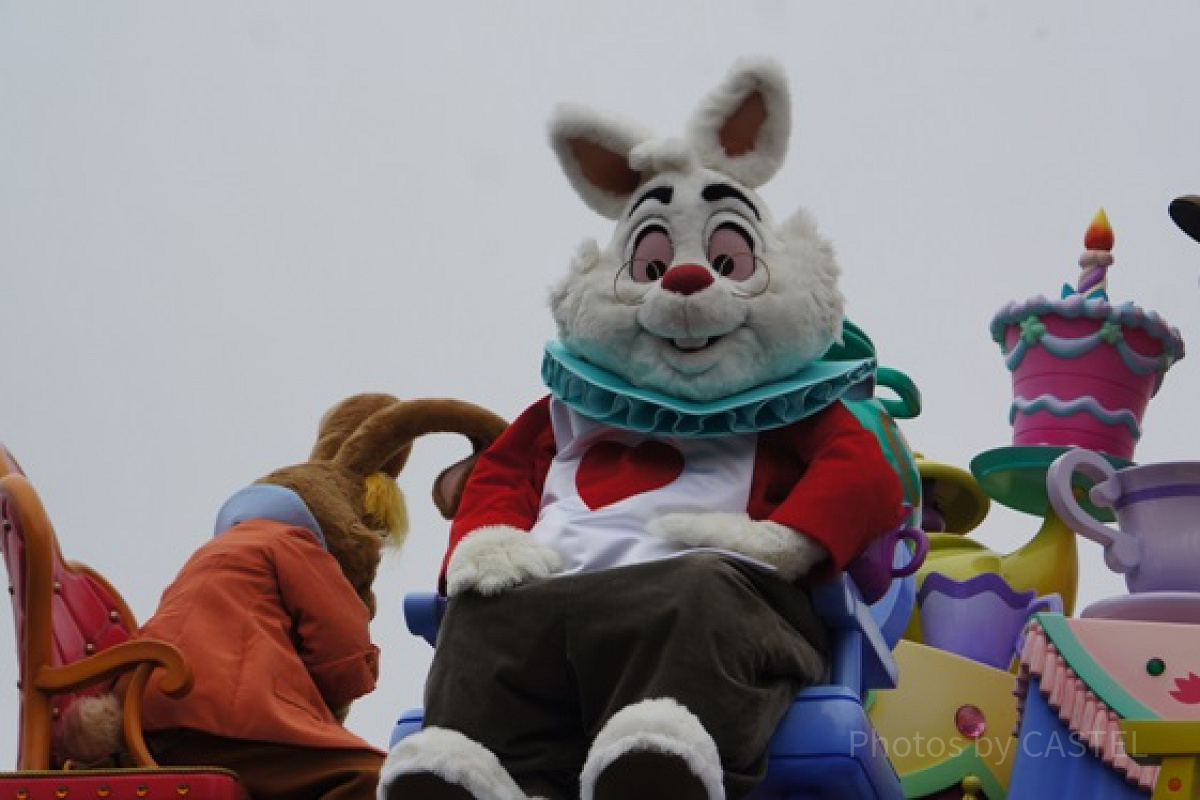 M∀LICE＜P＞White Rabbit ホワイトラビット　遊戯王 25th 遊戯王 m∀lice<p>white rabbit ホワイトラビット25th 遊戯王 M∀LICE