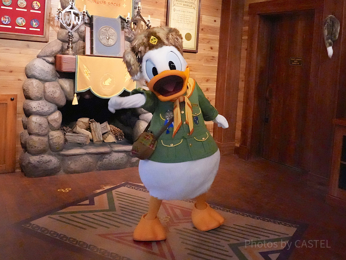 ディズニー ディズニーシー ドナルド ドナルドダック トレイル TDS ディズニーシー トレイル ドナルド ぬいぐるみバッジ ぬいば
