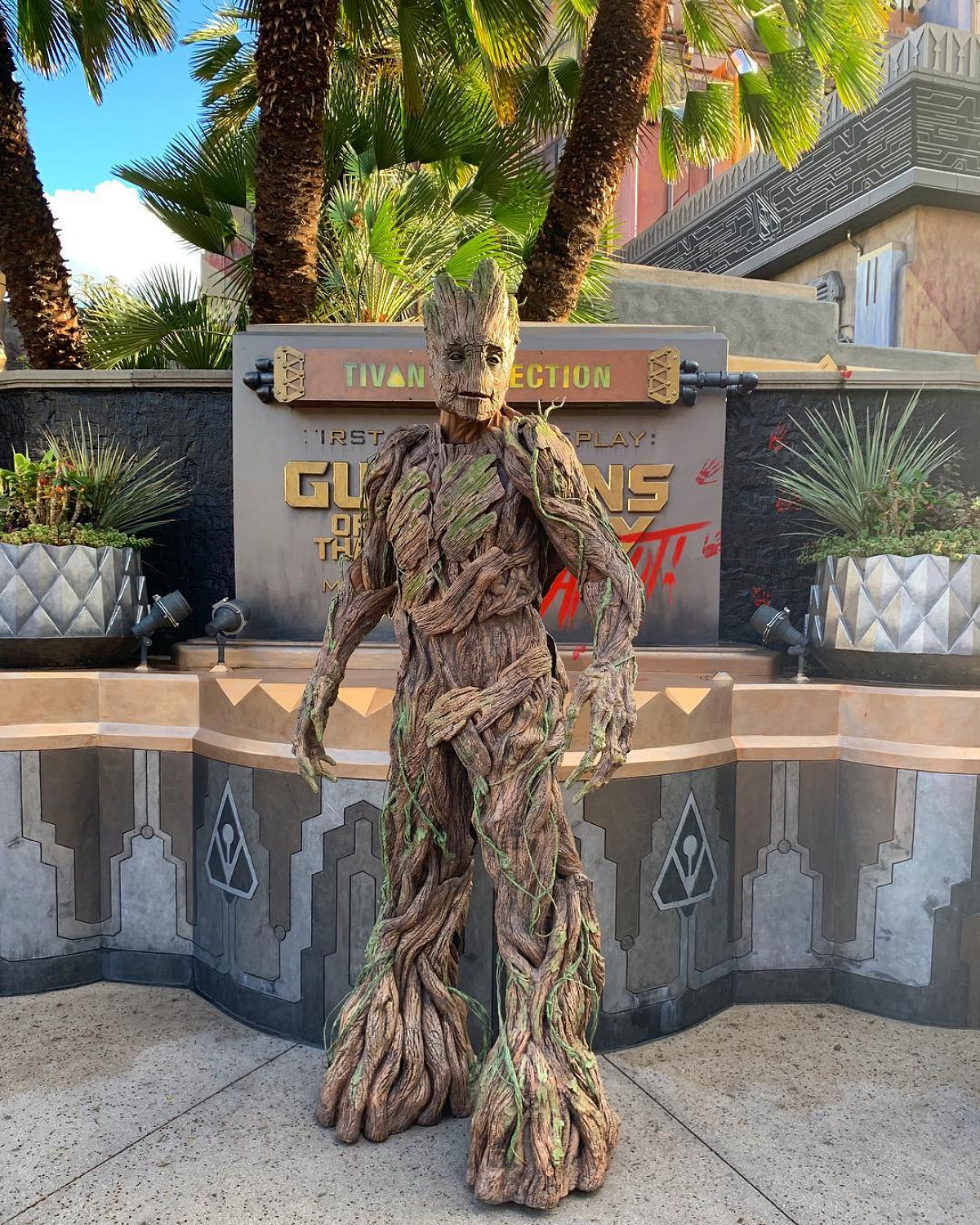 グルート キャステル CASTEL ディズニー情報