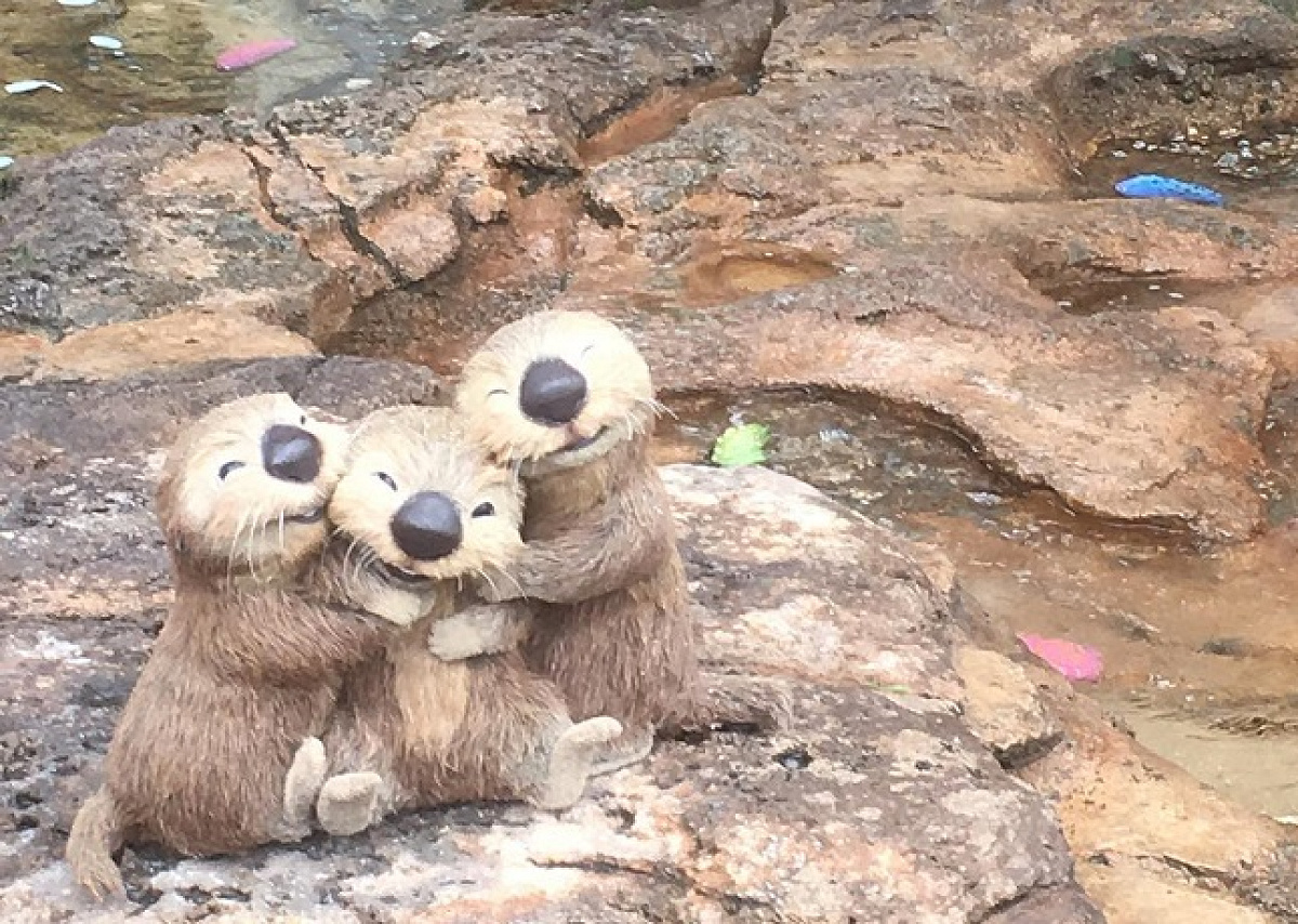 かわいすぎるラッコたち キャステル Castel ディズニー情報