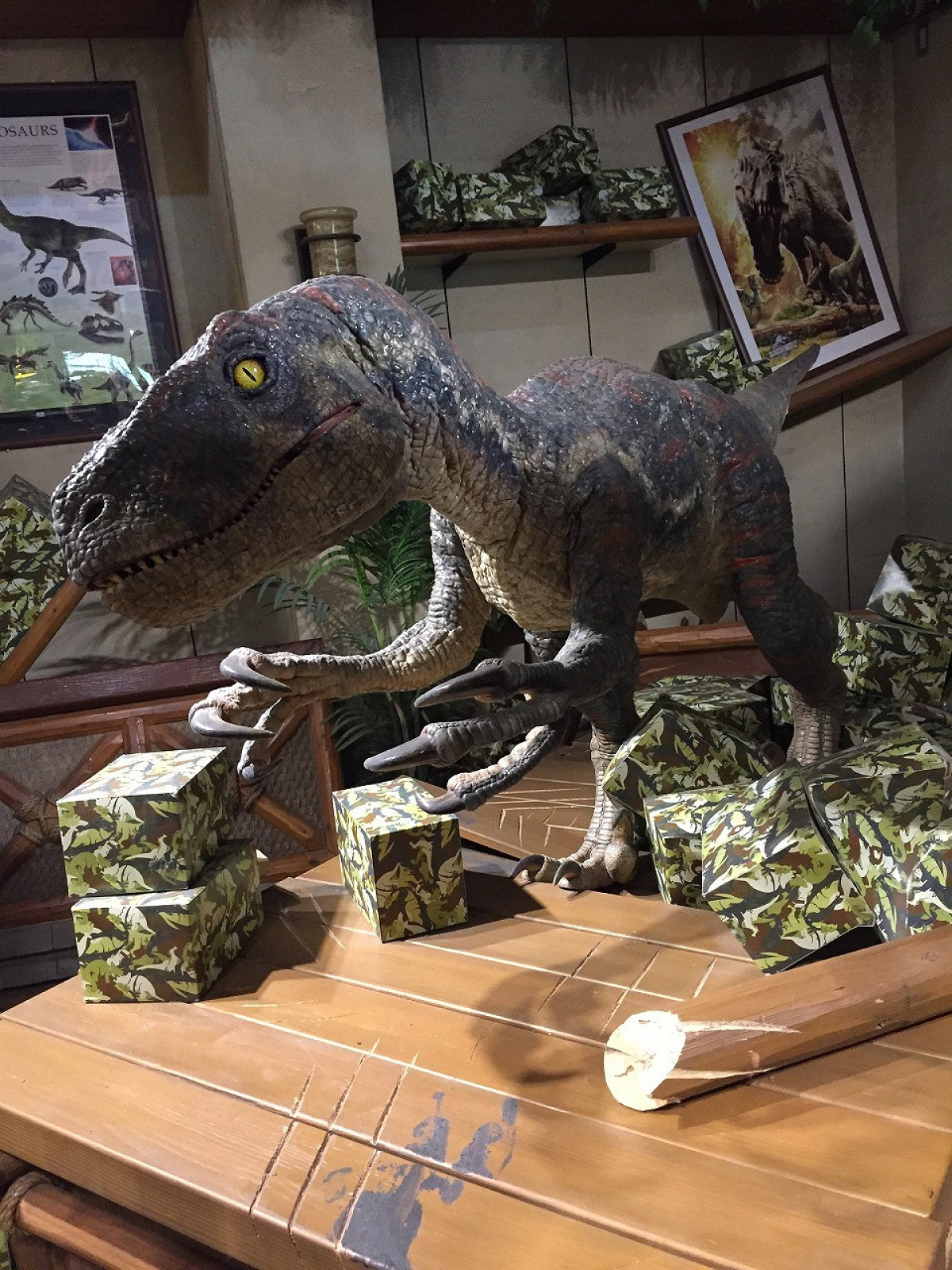 Usjの恐竜グッズ専門ショップ ジュラシック アウトフィッターズのラプトル キャステル Castel ディズニー情報