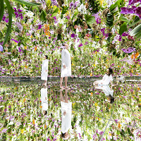 【体験レポ】チームラボプラネッツ豊洲を徹底紹介！ガーデンエリア誕生☆チケット、所要時間情報も！