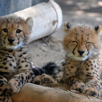 姫路セントラルパークの宿泊情報！周辺ホテルや子供連れでも安心のホテル6選！