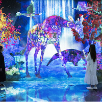 チームラボフォレスト福岡を紹介！展示内容と楽しみ方、注意点、他のチームラボとの違い、チケット、アクセス