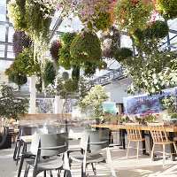 【よみうりランド】HANA・BIYORI（はなびより）を解説！入場料、展示内容、人気の園内スタバ情報も！