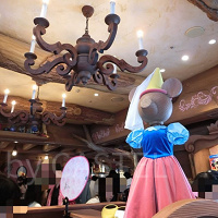 赤ちゃんのディズニーデビューは何ヶ月？0歳でも大丈夫？赤ちゃんとの楽しみ方や、持ち物・回り方を伝授！ベビーカー情報も
