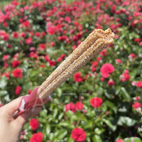 【2025年11月最新】ディズニーのチュロスは全8種類！販売場所&値段を地図で解説！