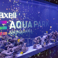 【2023】アクアパーク品川周辺のおすすめランチ9選!美味しい焼肉弁当から駅構内のスパゲティも!