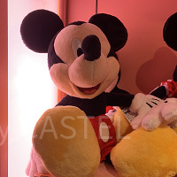 【ディズニー】ミッキーのぬいぐるみ全種まとめ！ポージープラッシーやフラッフィープラッシーも！