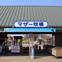 マザー牧場完全ガイド!動物とのふれあい、牧場グルメ、お土産、チケット、アクセス情報を総まとめ