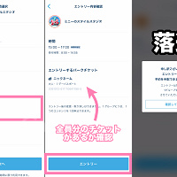 【必見】エントリー受付に外れたら?ショーを見る方法や代替案まとめ