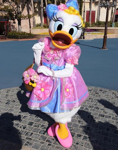 華やかなデイジーが登場！