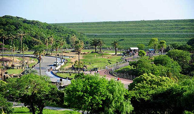 とっても広いサファリワールド