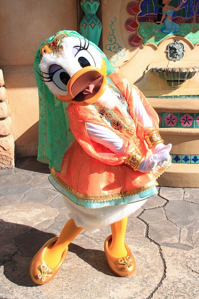 整列グリのアラビアンデイジー