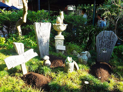 本当にそんな男の子はいるのだろうか？