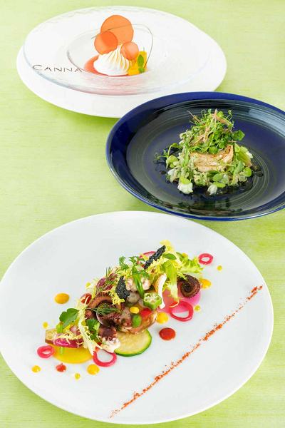 アーリーサマー プレシャスカンナ