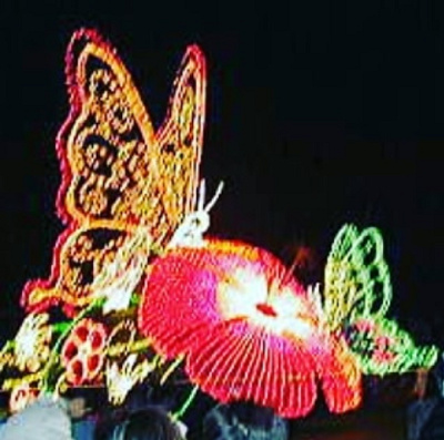 エンチャンテッド・バタフライ・ガーデン