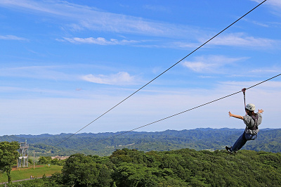 ファームジップ