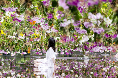 Floating Flower Garden: 花と我と同根、庭と我と一体
